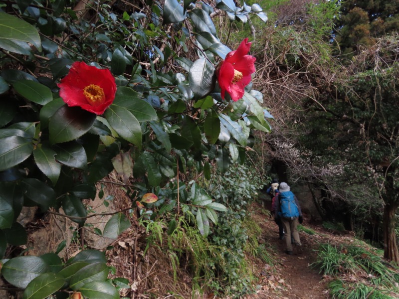 日和田山、物見山